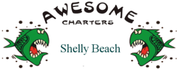 Shelly Beach Awesome Fishing Charters